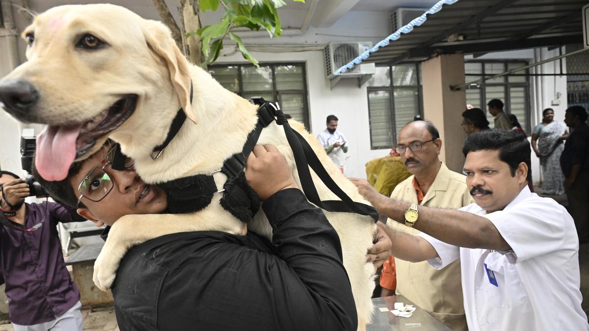World Zoonoses Day: Andhra Pradesh government to administer 5.37 lakh